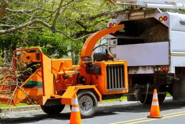 tree removal utah