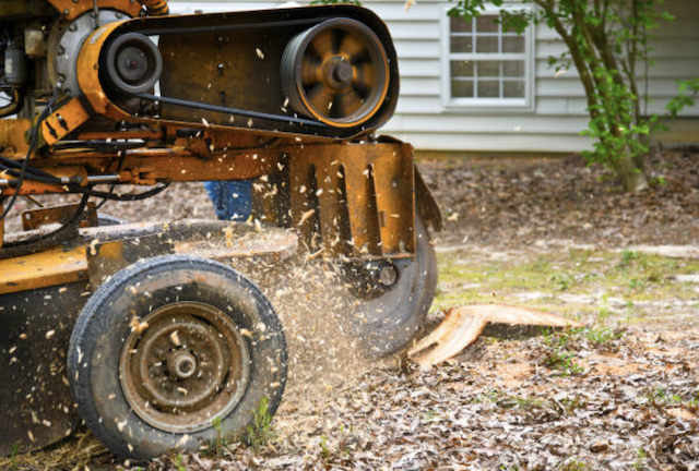 stump grinding utah ut